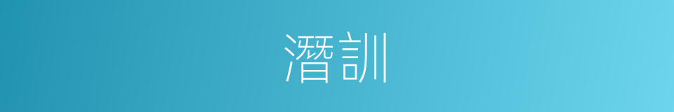 潛訓的同義詞