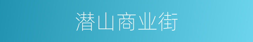 潜山商业街的同义词