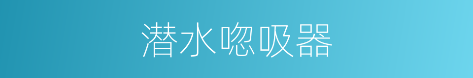 潜水唿吸器的同義詞