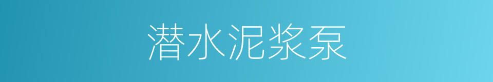 潜水泥浆泵的同义词