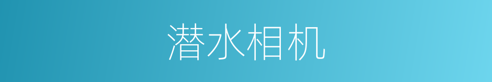 潜水相机的同义词