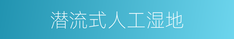 潜流式人工湿地的同义词