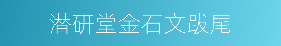 潜研堂金石文跋尾的同义词
