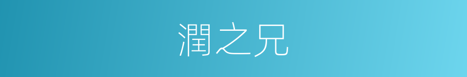 潤之兄的同義詞