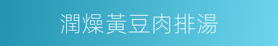 潤燥黃豆肉排湯的同義詞