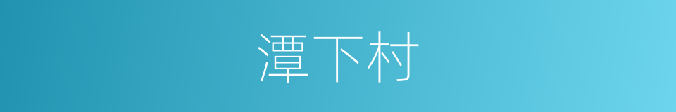 潭下村的同义词