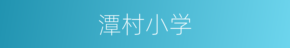 潭村小学的同义词