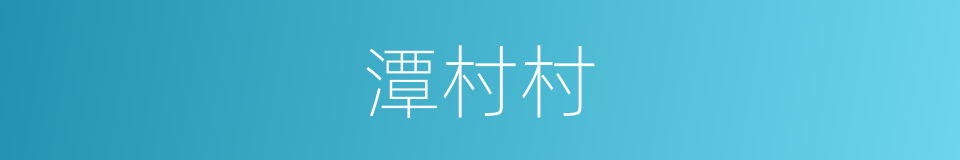 潭村村的同义词
