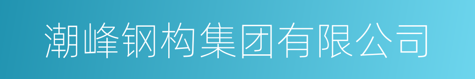 潮峰钢构集团有限公司的同义词