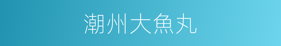 潮州大魚丸的同義詞