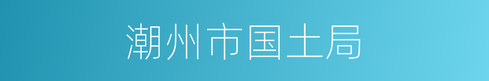 潮州市国土局的同义词