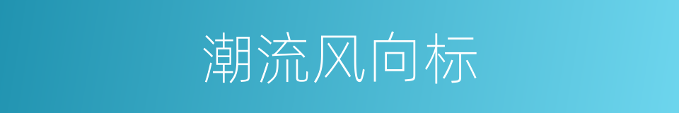 潮流风向标的同义词