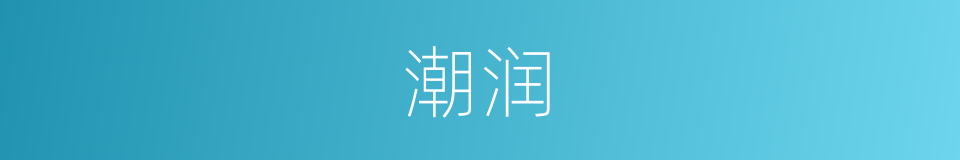 潮润的意思