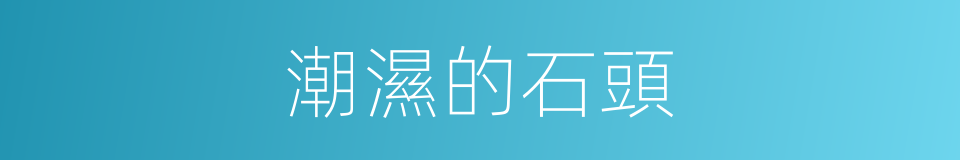 潮濕的石頭的同義詞