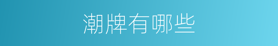 潮牌有哪些的同义词