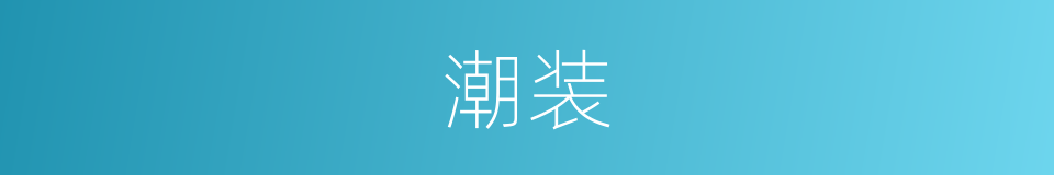 潮装的同义词