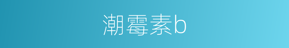潮霉素b的同义词