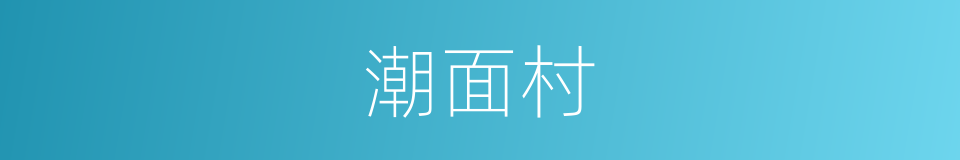 潮面村的同义词
