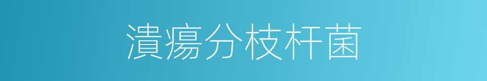 潰瘍分枝杆菌的同義詞