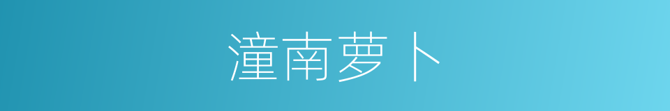 潼南萝卜的同义词