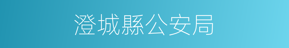 澄城縣公安局的同義詞