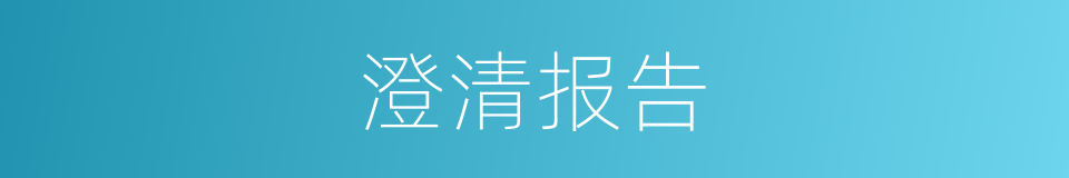 澄清报告的同义词