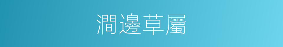 澗邊草屬的同義詞