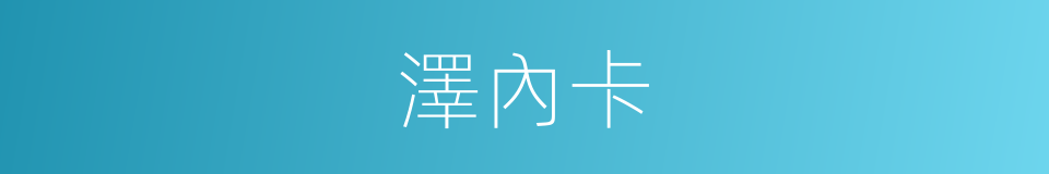 澤內卡的同義詞