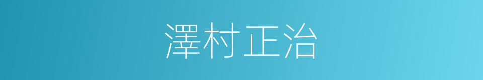 澤村正治的同義詞