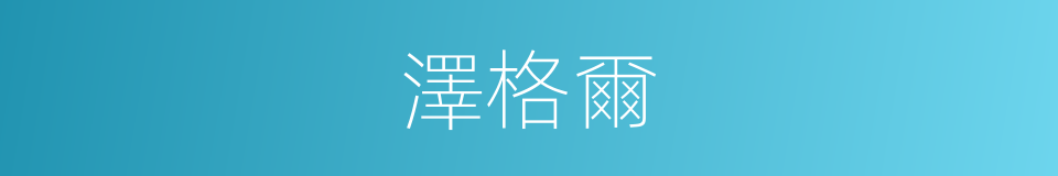 澤格爾的同義詞