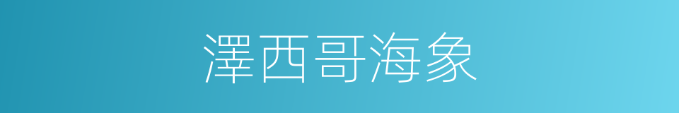 澤西哥海象的同義詞