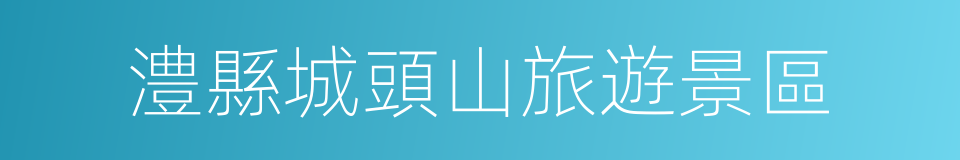 澧縣城頭山旅遊景區的同義詞