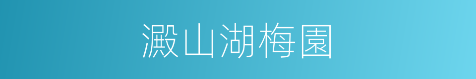 澱山湖梅園的同義詞