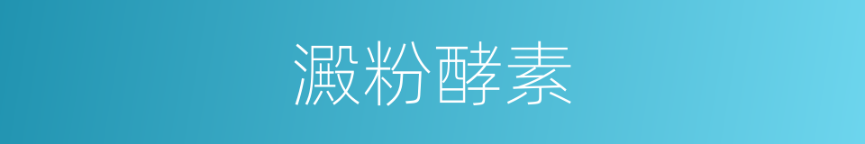 澱粉酵素的同義詞