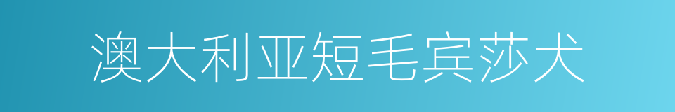 澳大利亚短毛宾莎犬的同义词