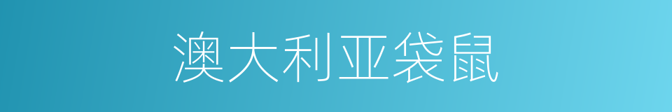 澳大利亚袋鼠的同义词