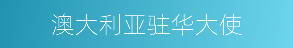 澳大利亚驻华大使的同义词