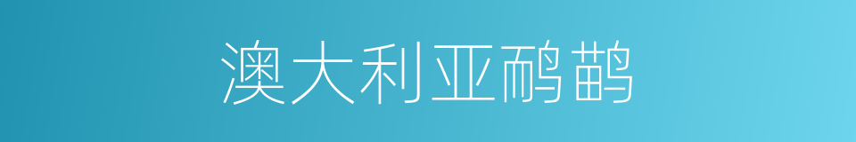 澳大利亚鸸鹋的同义词