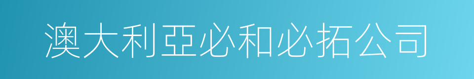 澳大利亞必和必拓公司的同義詞