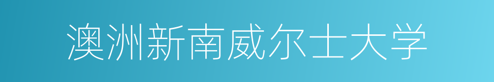 澳洲新南威尔士大学的同义词