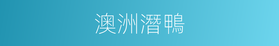 澳洲潛鴨的同義詞