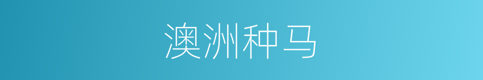 澳洲种马的同义词