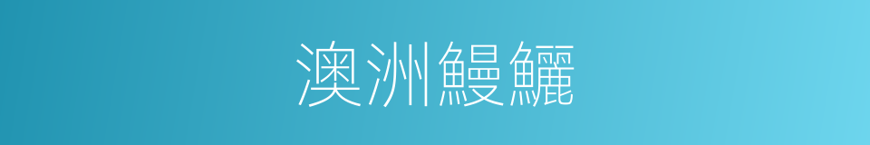 澳洲鰻鱺的同義詞