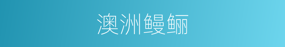 澳洲鳗鲡的同义词