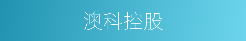 澳科控股的同义词
