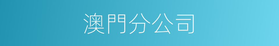 澳門分公司的同義詞