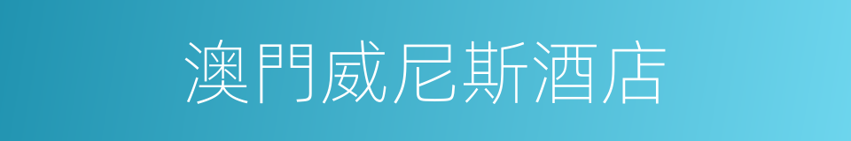 澳門威尼斯酒店的同義詞
