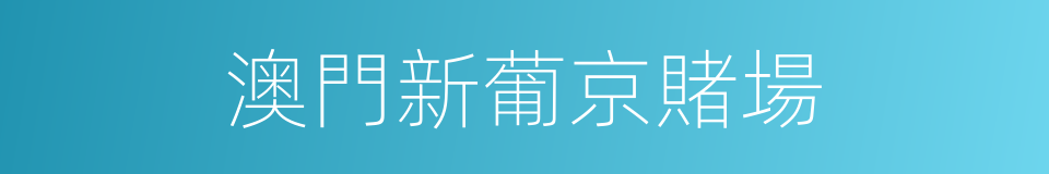 澳門新葡京賭場的同義詞