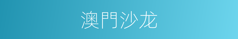 澳門沙龙的同義詞