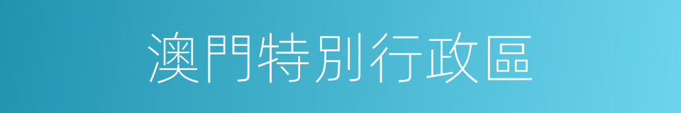 澳門特別行政區的同義詞